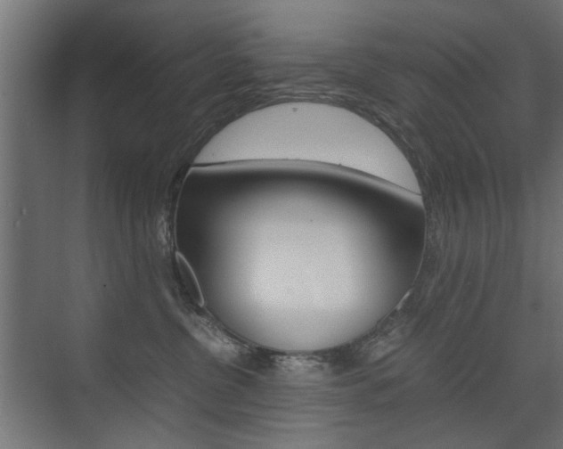 X0000075410380200609081008