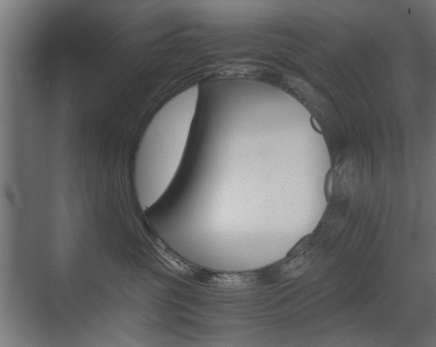 X0000075410381200609081008
