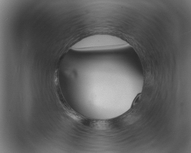 X0000075410383200609081008