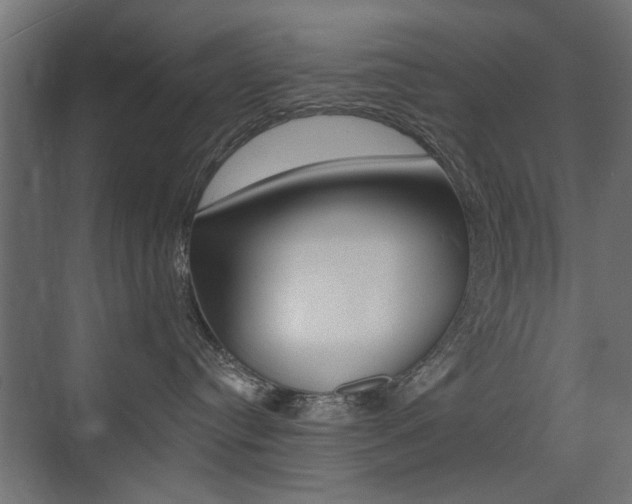 X0000075410384200609081008