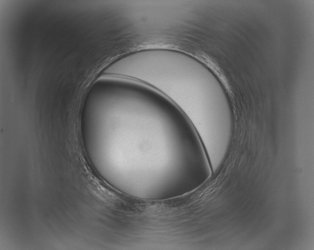 X0000075410385200609081007