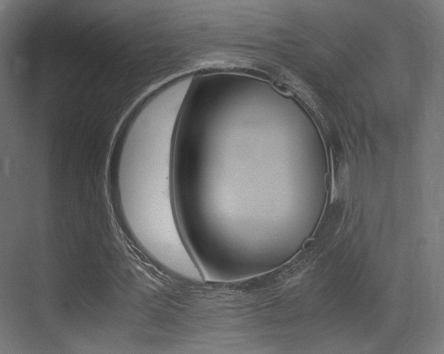X0000075410387200609081007