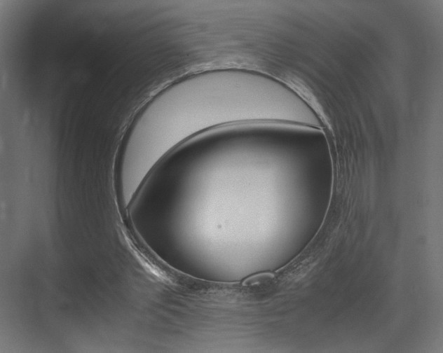 X0000075410389200609081007