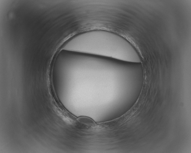 X0000075410390200609081007