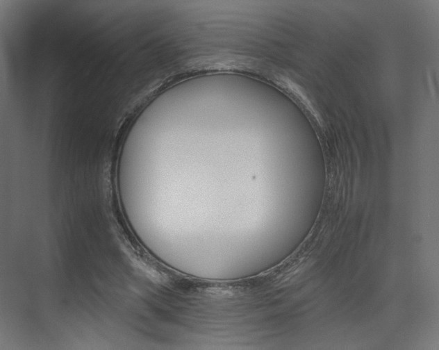X0000075410394200609081007