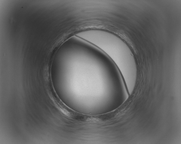 X0000075410397200609081007