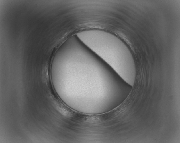X0000075410398200609081007