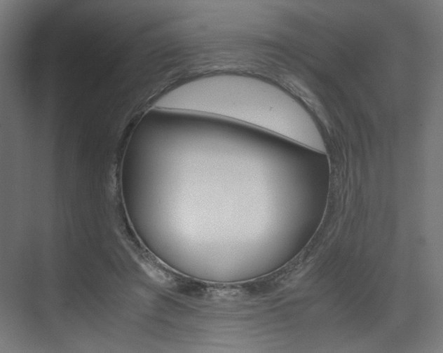 X0000075410401200609081007