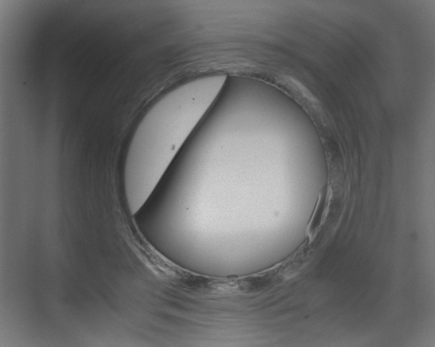 X0000075410405200609081007