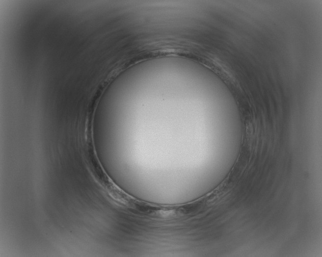 X0000075410406200609081007
