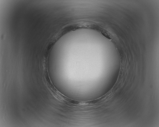 X0000075410413200609081007