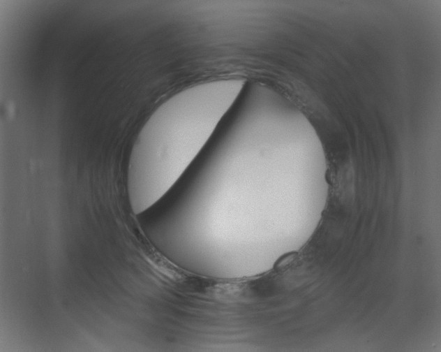 X0000075410418200609081007