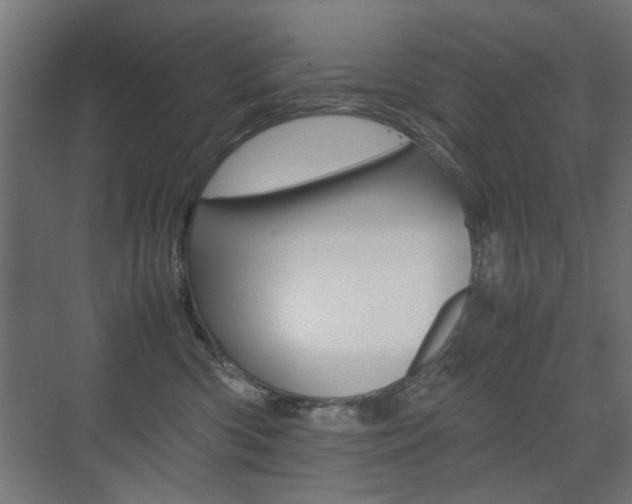 X0000075410426200609081007