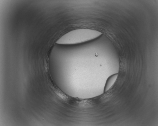 X0000075410430200609081006