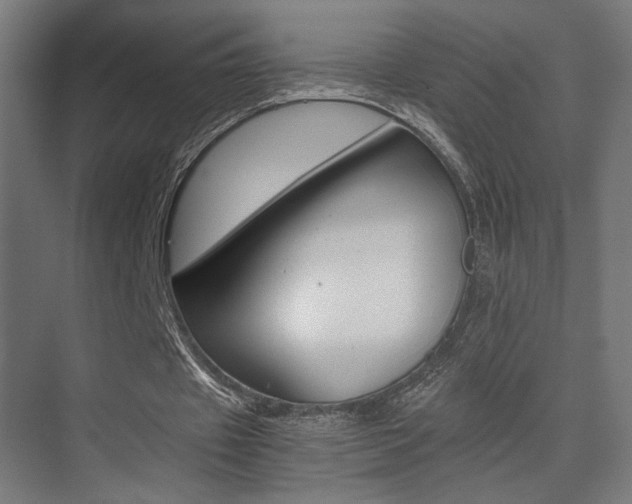 X0000075410433200609081006