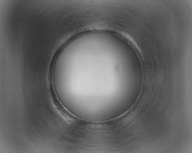 X0000075410439200609081006