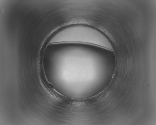 X0000075410440200609081006