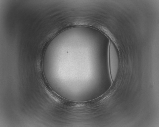 X0000075410441200609081006