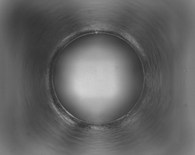 X0000075410442200609081006