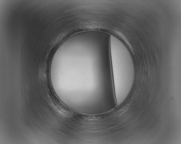 X0000075410443200609081006