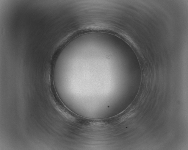 X0000075410446200609081006