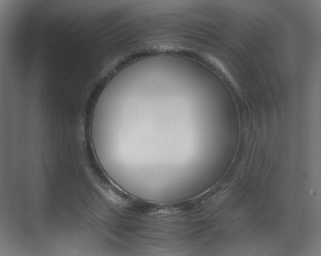 X0000075410447200609081006