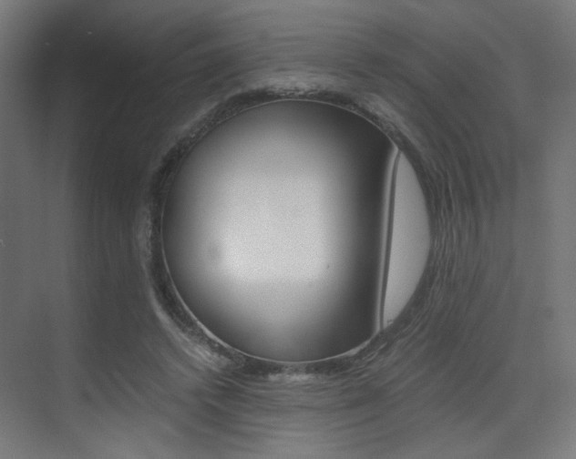 X0000075410448200609081006