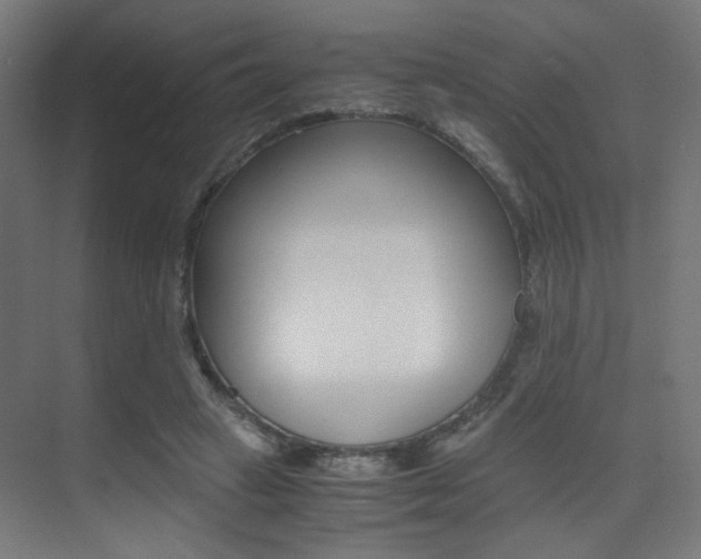 X0000075410449200609081006