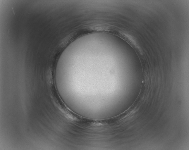 X0000075410453200609081006
