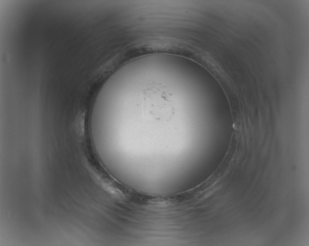 X0000075410454200609081006