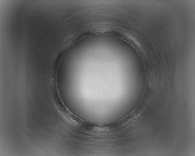 X0000075410455200609081006