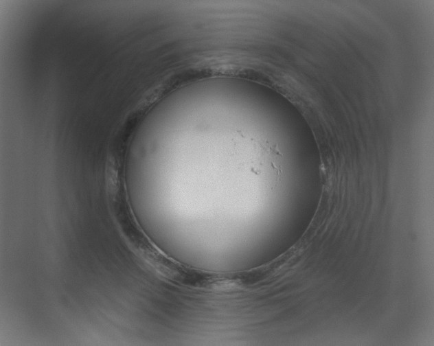 X0000075410456200609081006