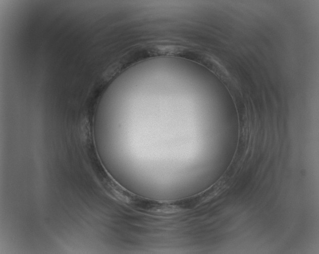 X0000075410459200609081006