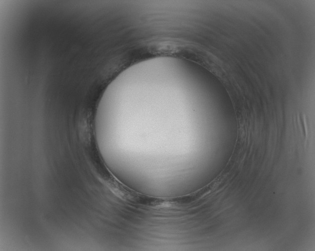 X0000075410460200609081006