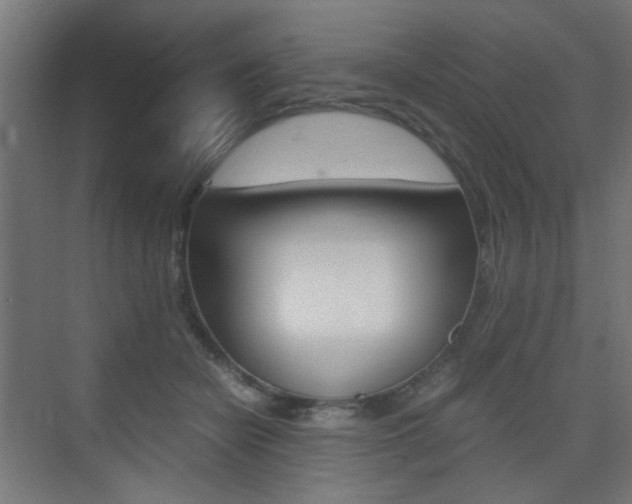 X0000075410462200609081006