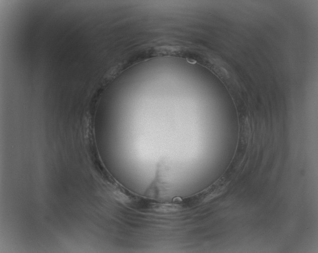 X0000075410463200609081006