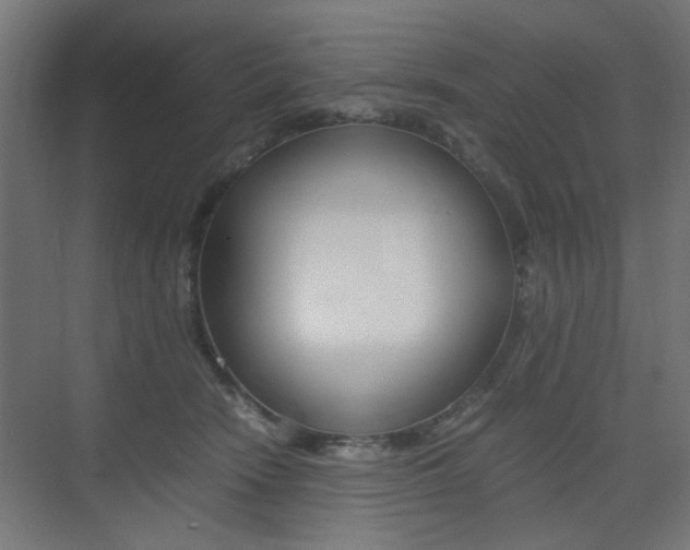 X0000075410466200609081006