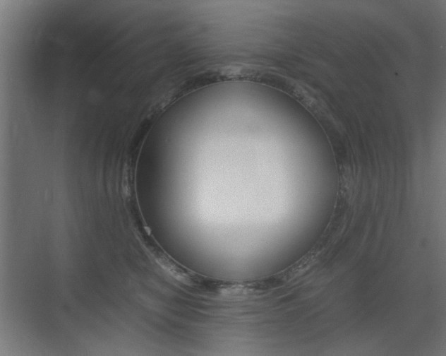 X0000075410470200609081006