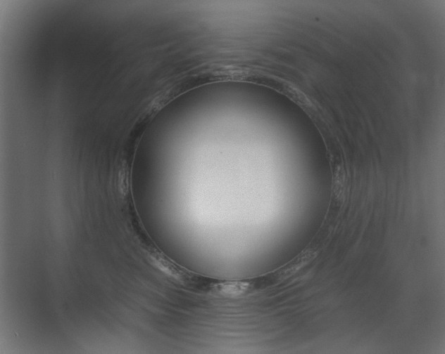 X0000075410474200609081006