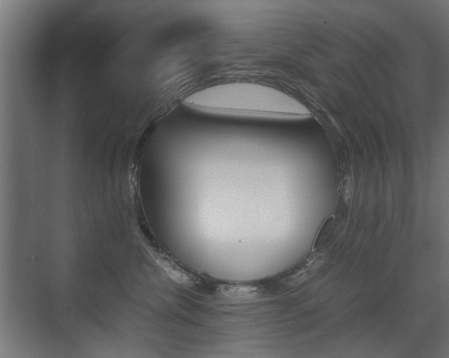 X0000075410476200609081006
