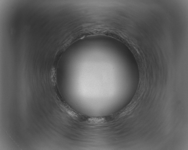 X0000075410480200609081006