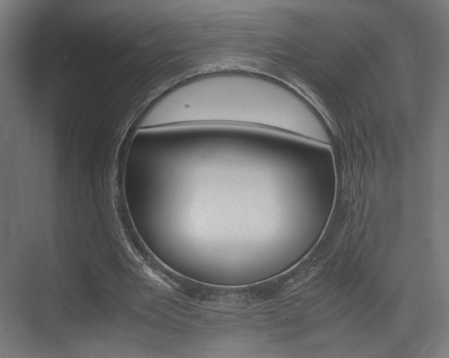X0000075410485200609081005