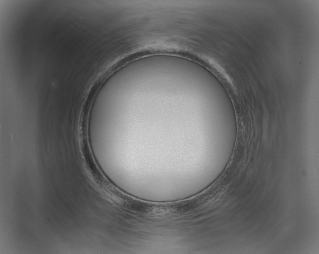 X0000075410487200609081005