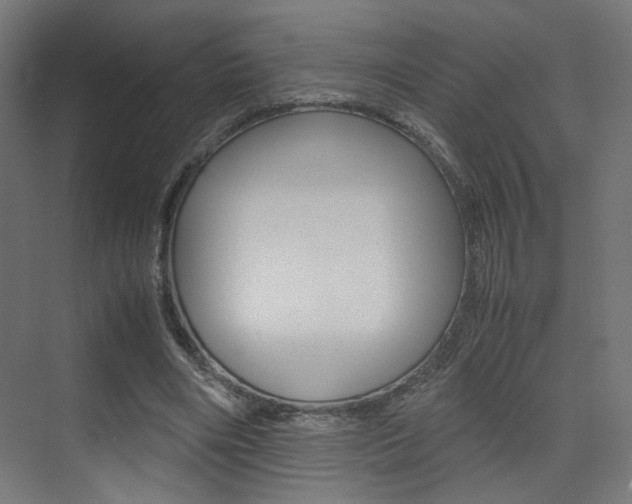 X0000075410490200609081005