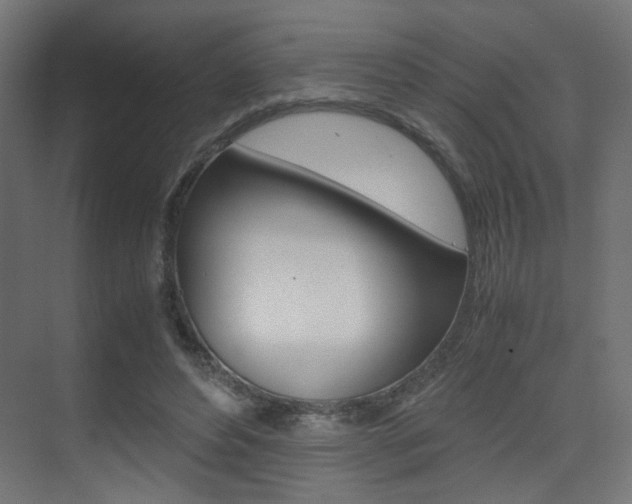 X0000075410496200609081005