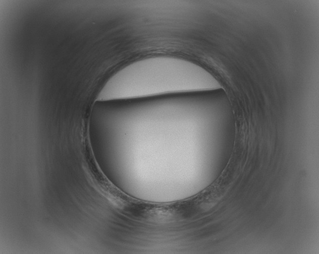 X0000075410498200609081005