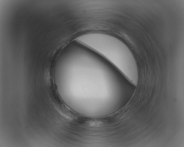 X0000075410500200609081005