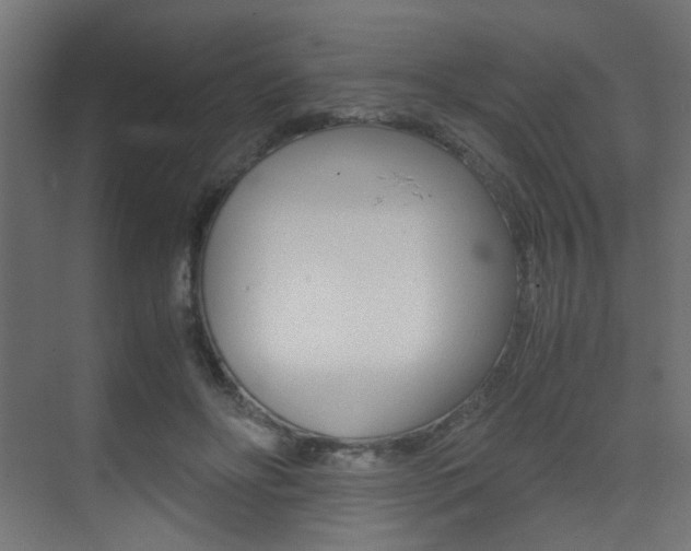 X0000075410502200609081005