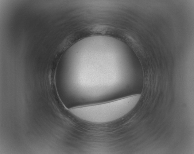 X0000075410504200609081005