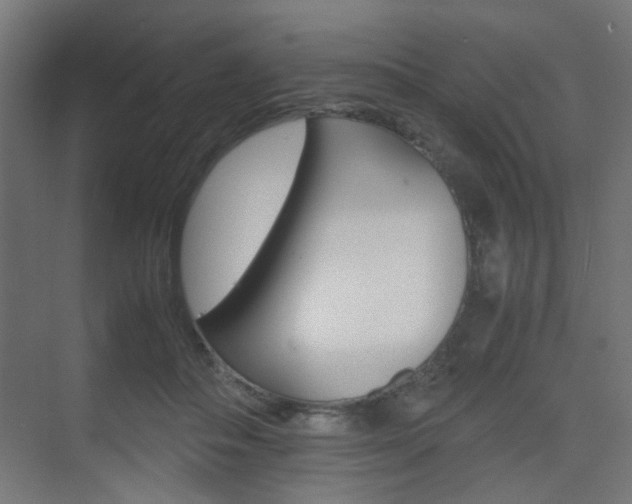 X0000075410506200609081005